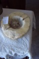 /album/galleria-foto-homepage/posacenere-di-marmo-carrara-jpg/